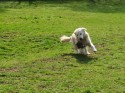 George (click to enlarge)