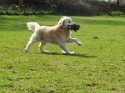 George (click to enlarge)