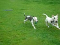 Bill and Milo (click to enlarge)