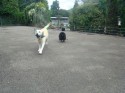 Holly and Bo (click to enlarge)