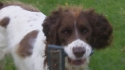 Millie and Mollie (click to enlarge)