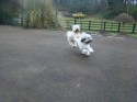 Milly and Tilly (click to enlarge)