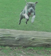 Zealous Zeus.