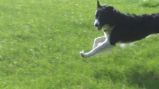 Max.